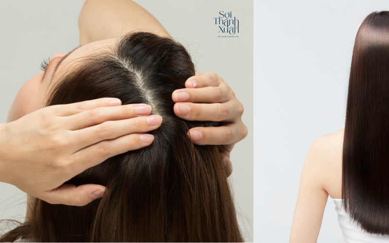 Điểm nổi bật trong phương pháp trị tóc bạc sớm tại Sợi Thanh Xuân